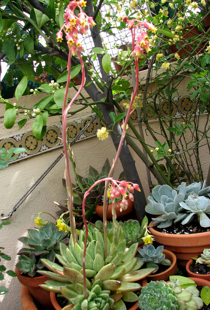 4529074648_83ab96e40f_b.jpg