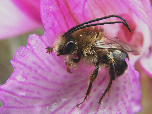 4547013964_f5387cf494.jpg