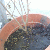 45f61169999406.gif