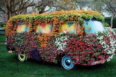 460__400x300_plant-cars.jpg