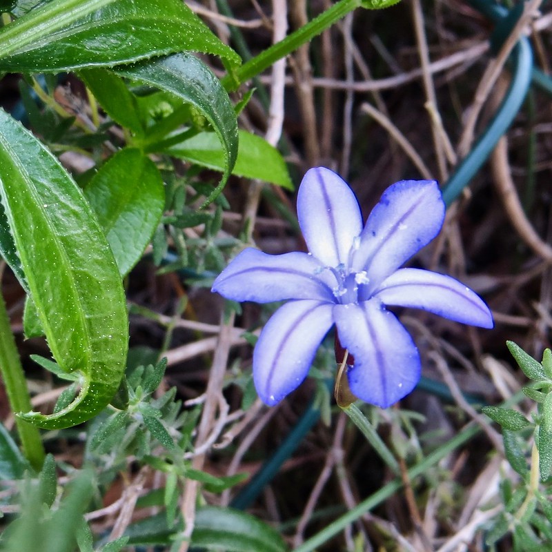 46506675525_d498b1109c_c.jpg