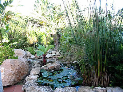 46e58490_jardineria_casanova.jpg