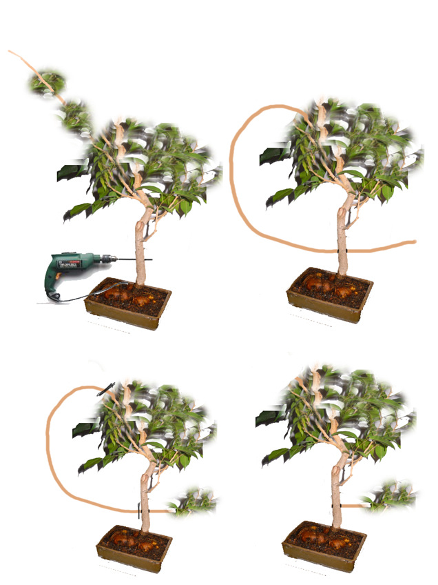 4715551917_faff32ebcb_b.jpg