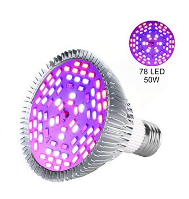 47710006961_f4dedc08bd_o.png