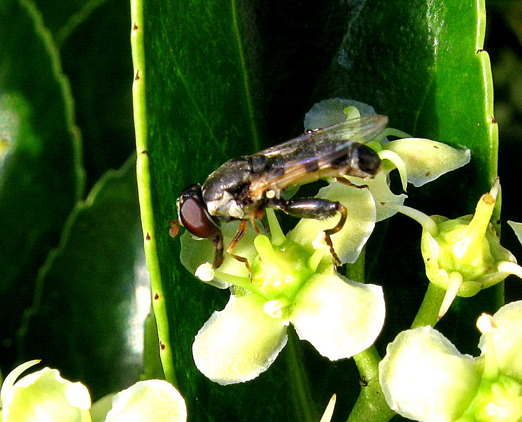 4777646727_703ab91677_b.jpg