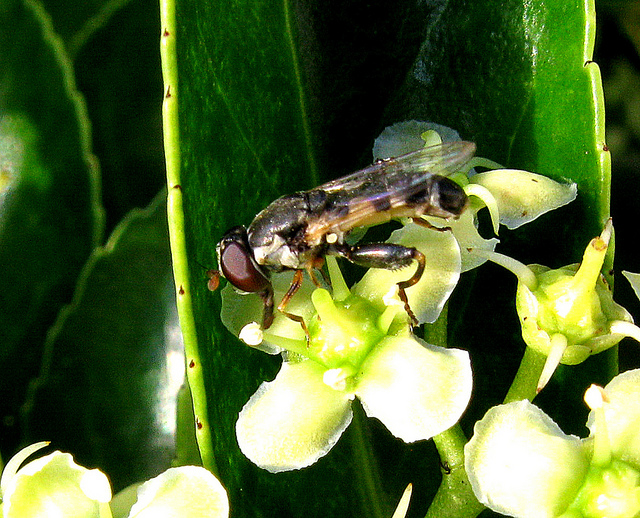 4777646727_703ab91677_z.jpg