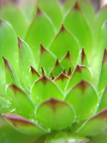 479763900_f6472532e1.jpg