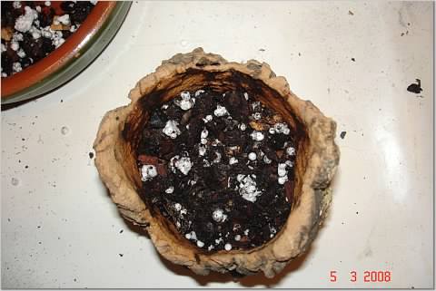 47b8dd26b3127cceb6e3c44c43cc00000026100Act2rli2aOGIA.jpg