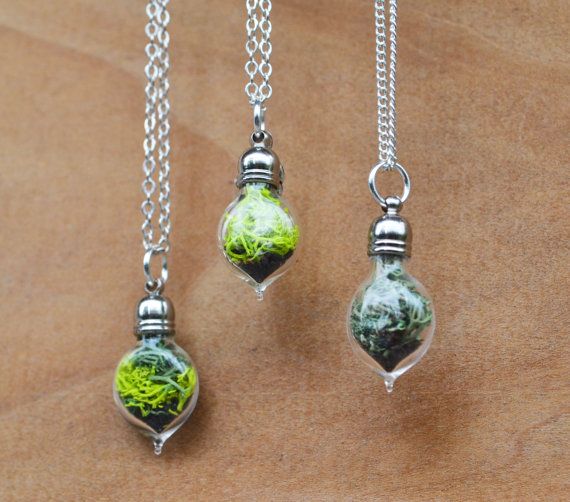 48223766782a87d6d4a22a559bbc0558--vial-necklace-moss-terrarium.jpg