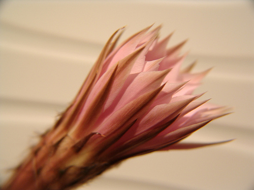 483154159_73d615095a.jpg
