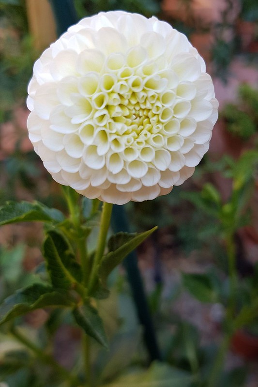 48316987877_025e74aa22_c.jpg
