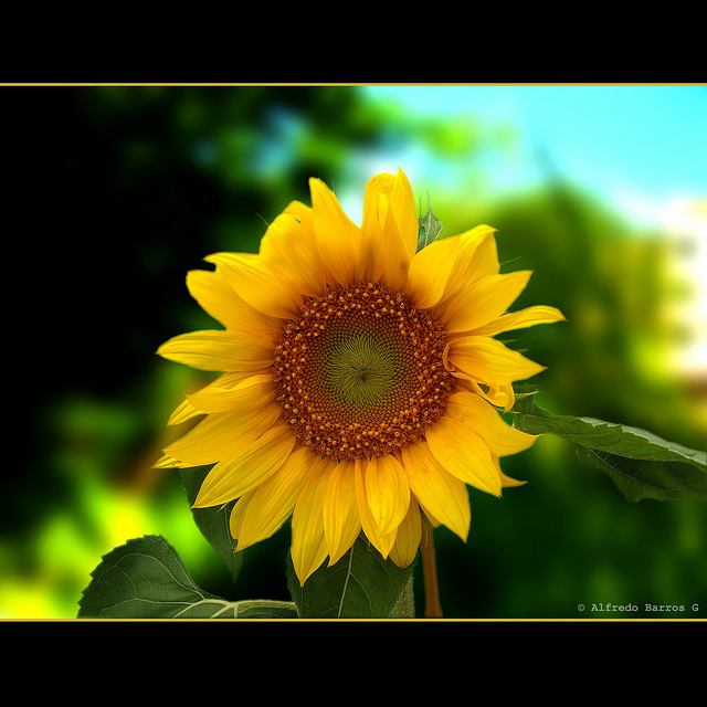 4835481377_8cefd436b7_z.jpg