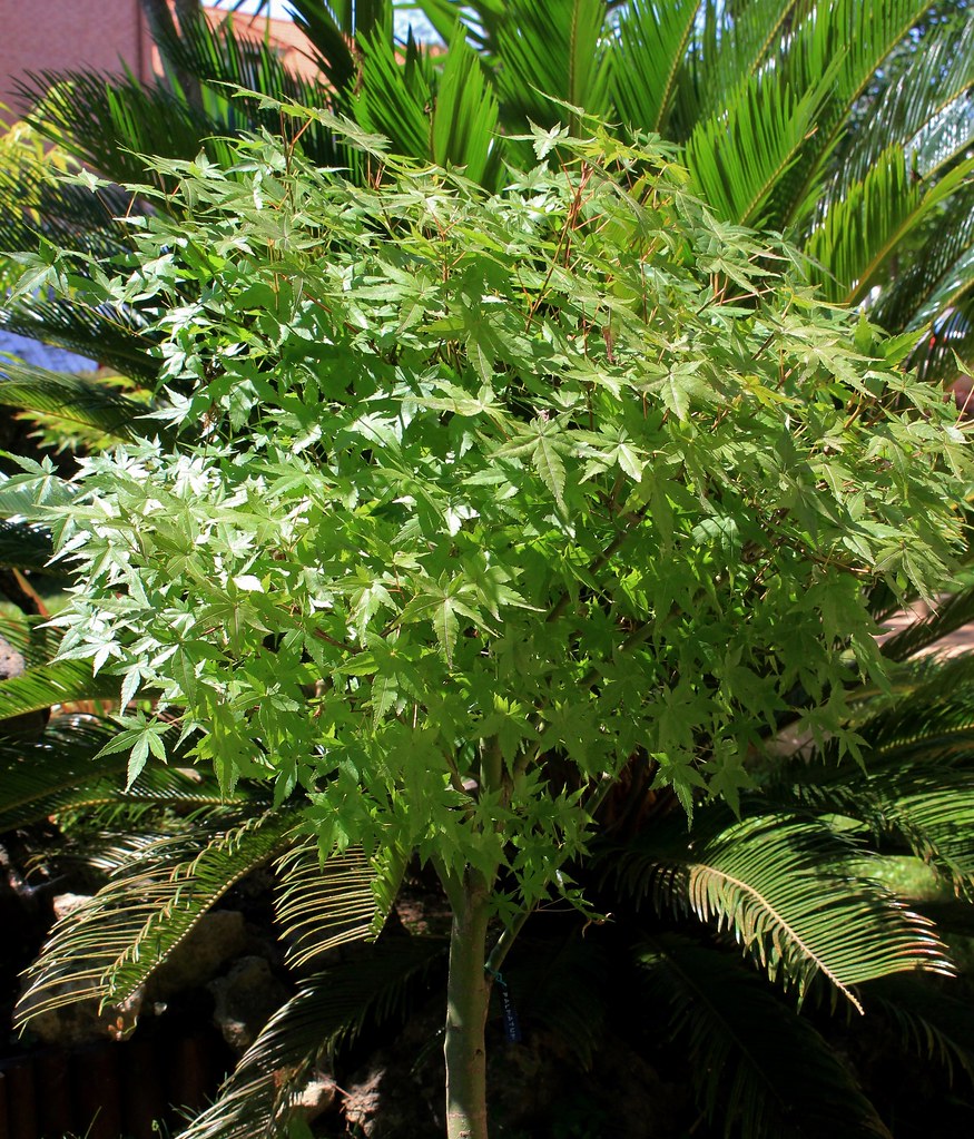 48567507496_d14ecd8197_b.jpg