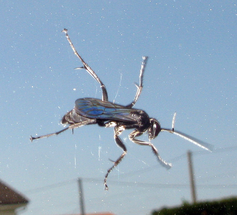 4869202614_2343de49f6_b.jpg