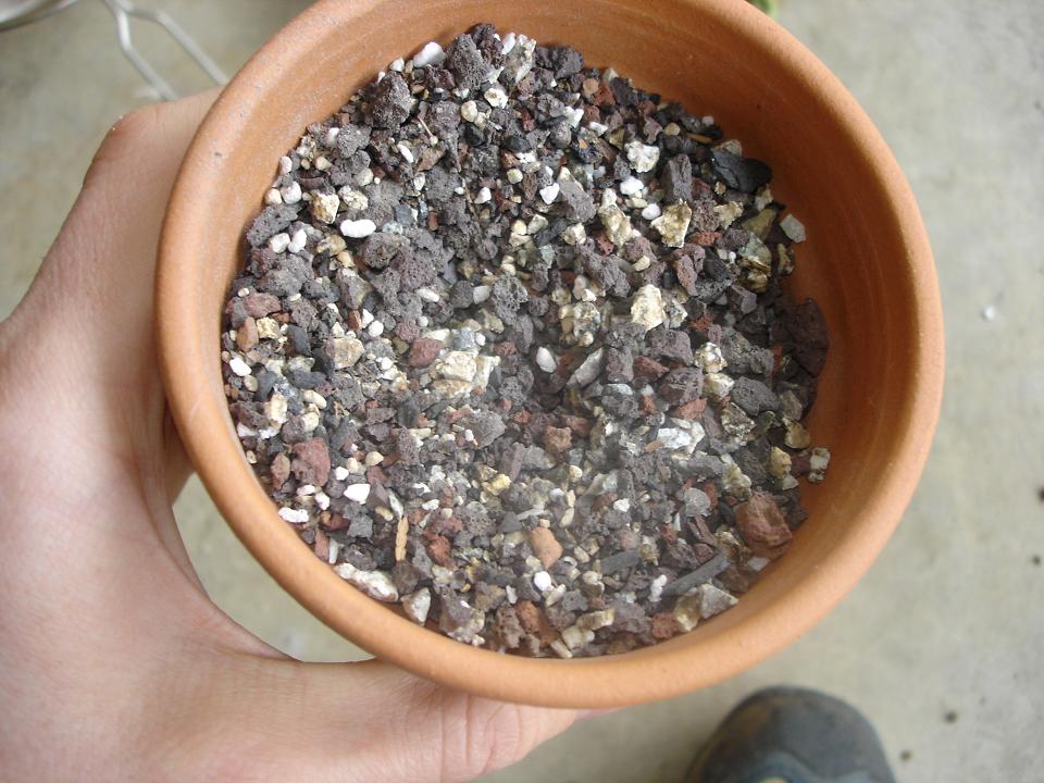 489624012-dirt.jpg