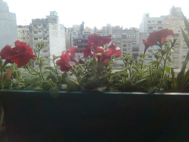 4898109916_26abd06b94_z.jpg