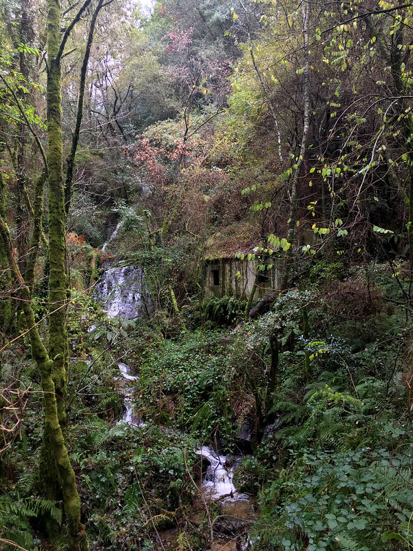 49076173632_2254960bb5_c.jpg