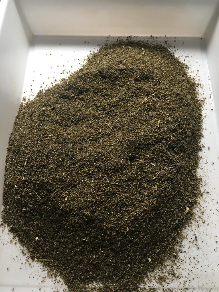 49634261242_d205fda24e_b.jpg