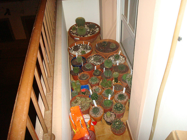 4996510785_477cf8593f_z.jpg