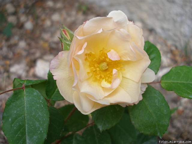 49ed8148.jpg