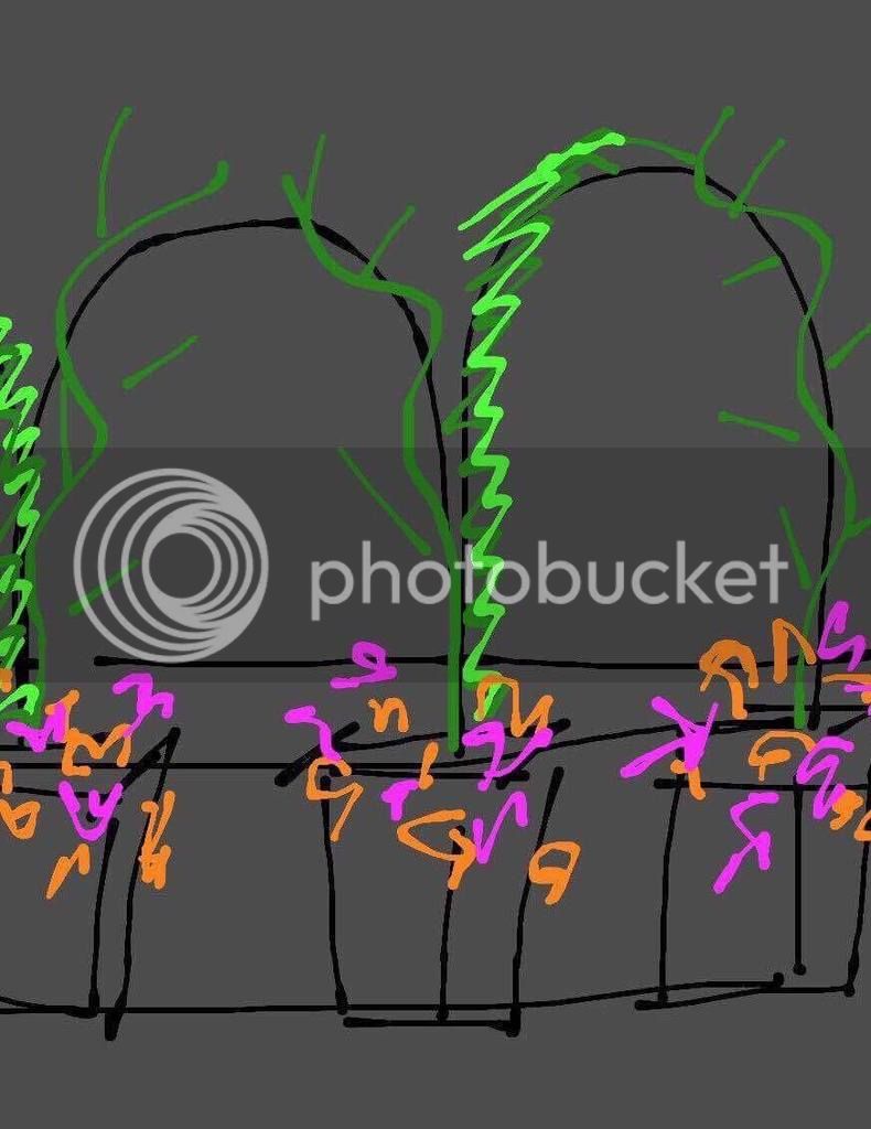 4_zpsvrfe4du0.jpg