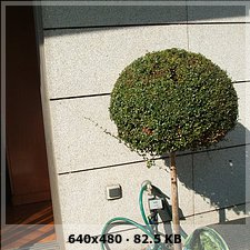 4a26809de3eb1e0ad76696dfe71cd8f4o.jpg