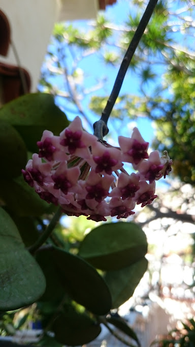 4cYYGd09q-r3V0IzjJHMlofIpb0oT-6kKcXrhjKTLfAc=w385-h683-no.jpg