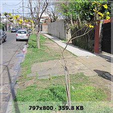 4d2733c54190613b4e2e20130d86cdb0o.jpg