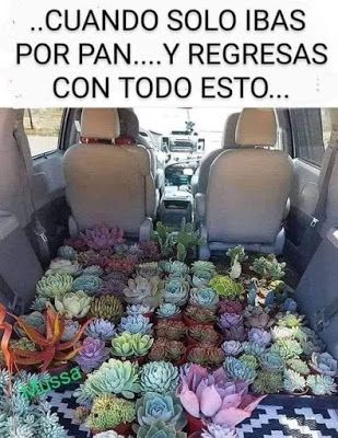4d3f1fa197ca4cf4508de78d1fe0b8a1.jpg
