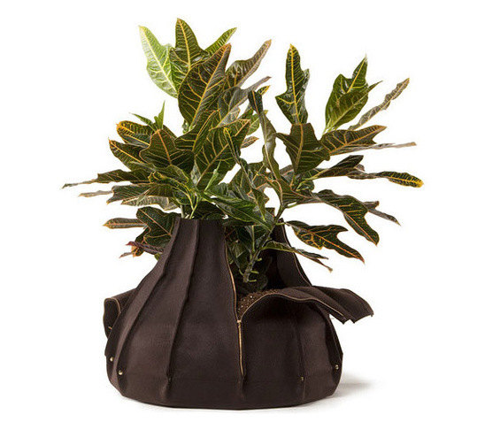 4d414ffb0d757eb0_6135-w548-h486-b1-p10--modern-indoor-pots-and-planters.jpg