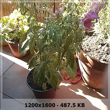 4ecd8b9ebba69704113f9a48903a1596o.jpg