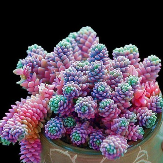 4f52f01c5f54c36945eb981fb739e1d6.jpg