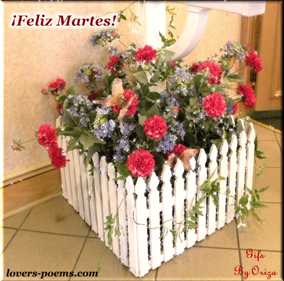 4fb23f10f1a4f_martes-oriza-net-1.gif