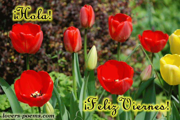 4fb58bd789a65_viernes-6.gif