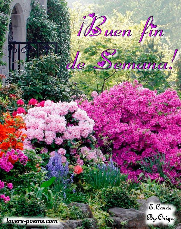 4fc0760a63999_fin-de-semana-3.jpg