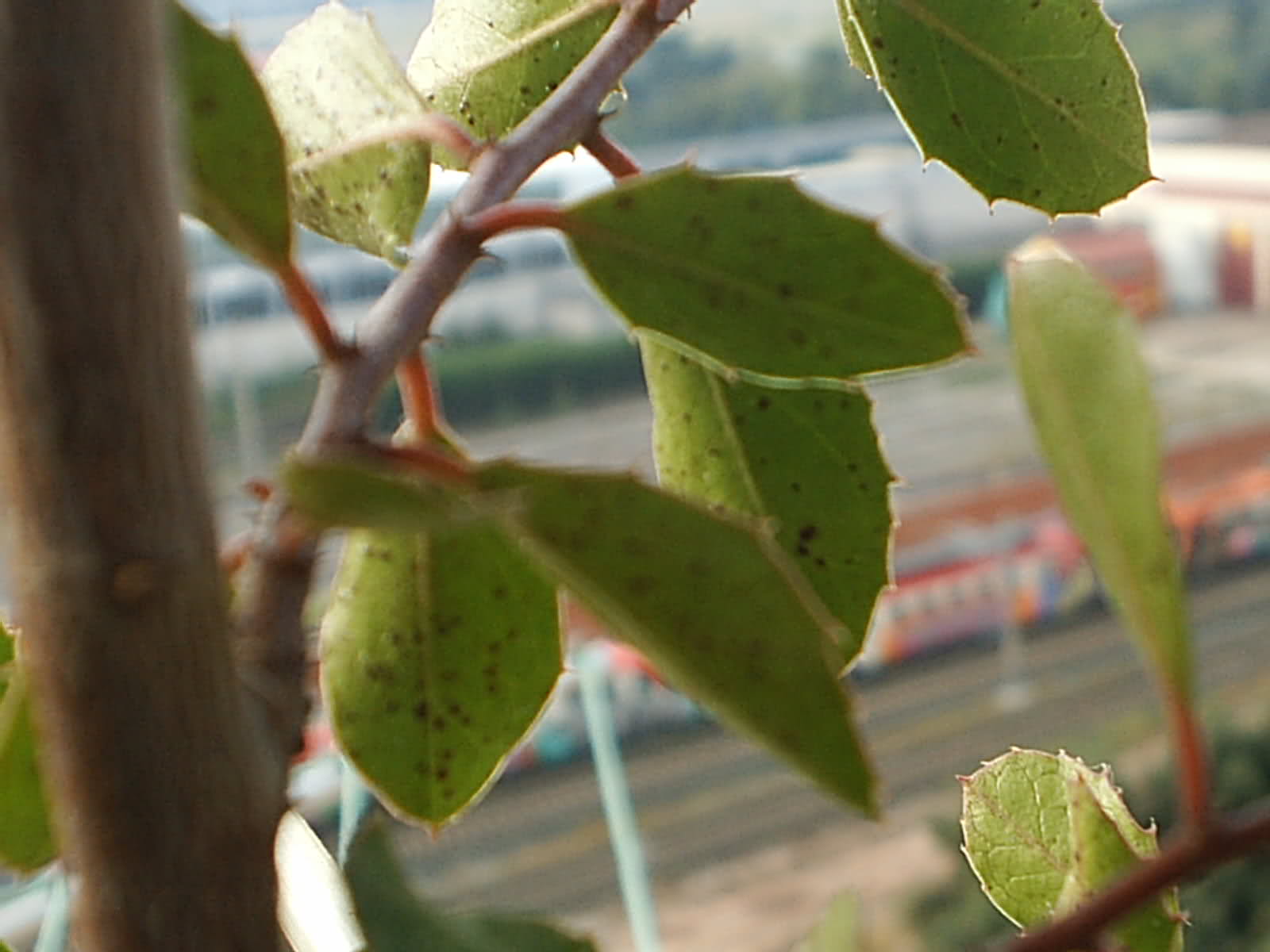 4j6s93.jpg