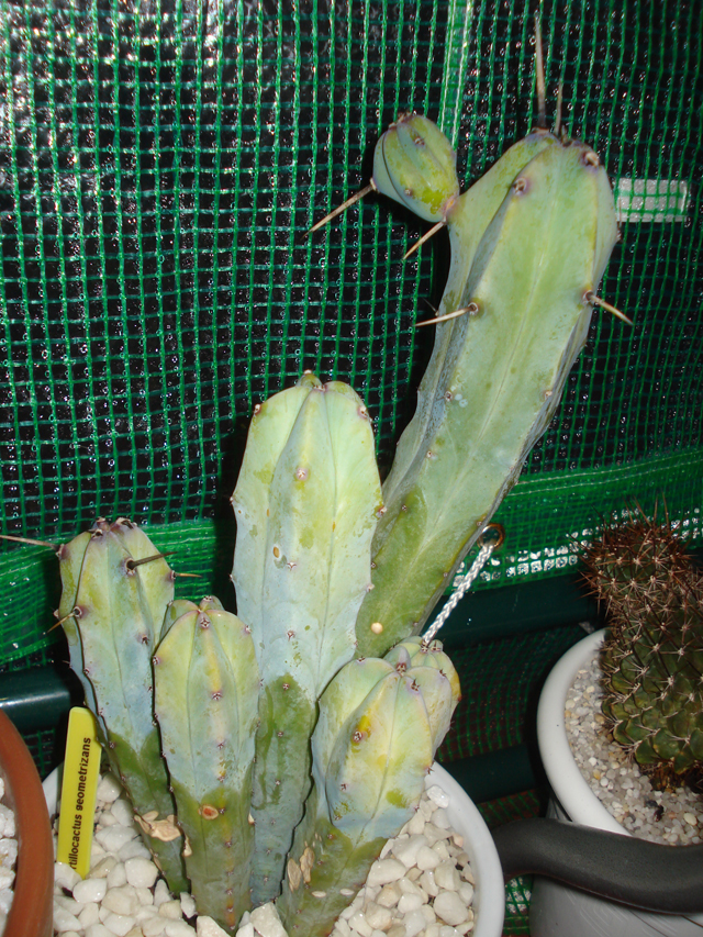 4r2684.jpg