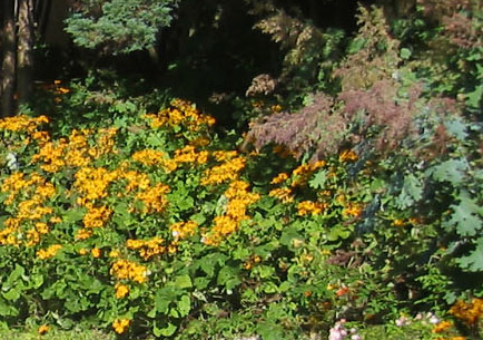 5-100-0014_IMG_2.jpg