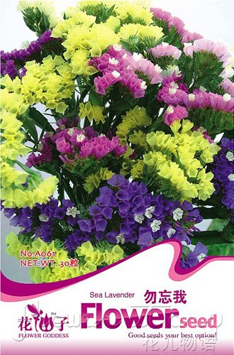 5-Pack-150Seed-font-b-Sea-b-font-font-b-Lavender-b-font-font-b-Limonium.jpg