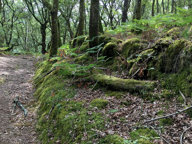 50336293208_fae98acf69_c.jpg