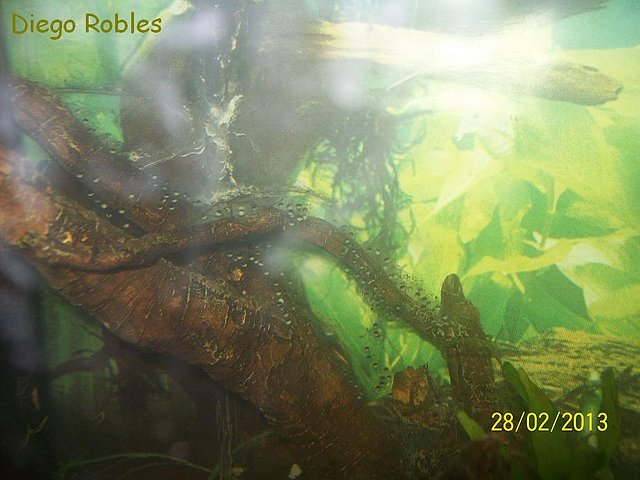 503e3516c19de5f2694ba15afb4fd23ao.jpg