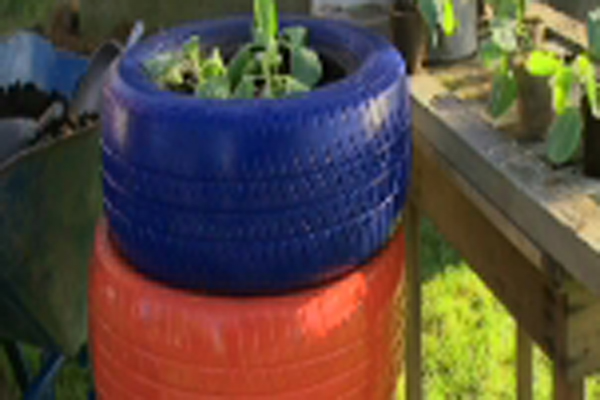 507_Grow_Tire_Garden_600main.jpg