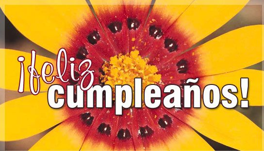 50_FelizCumple.jpg