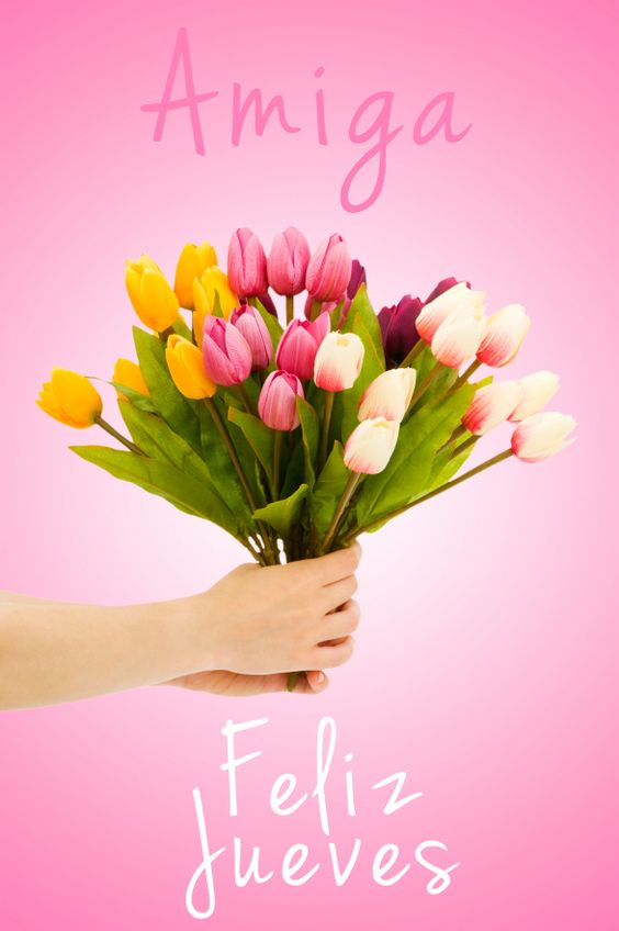 50efba76fce3e482e0f16faf9185eaa3.jpg