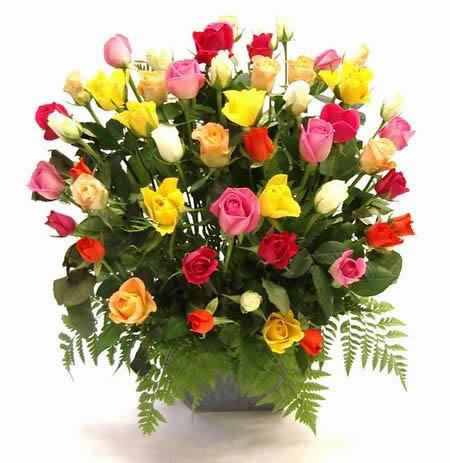 50rosas20surtidas-1.jpg