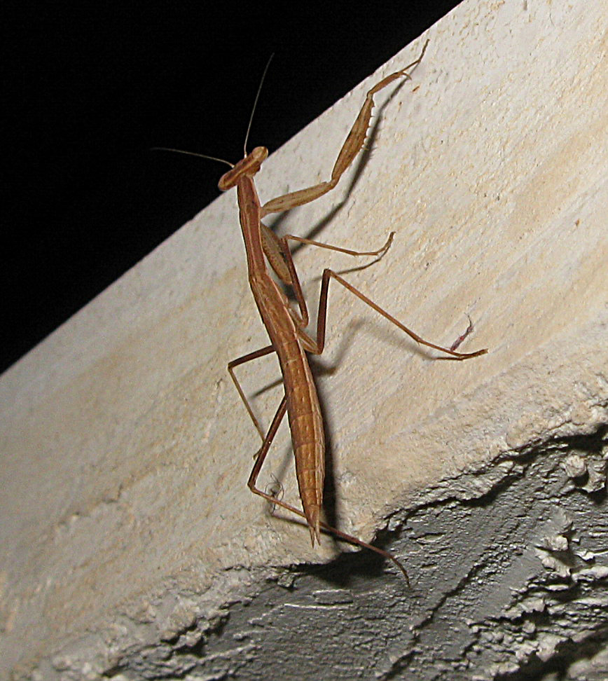 5105843946_4c55478a16_b.jpg