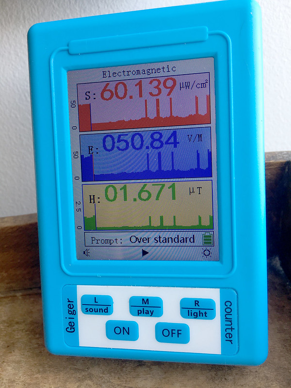 51338260927_d4ecc9815d_c.jpg