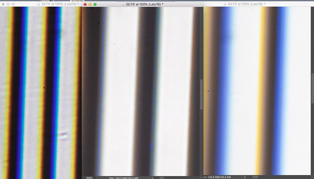 51750163067_f752c504d6_z.jpg