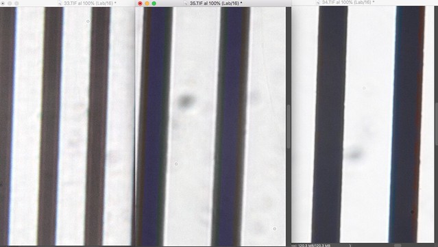 51751233743_3137b02282_z.jpg