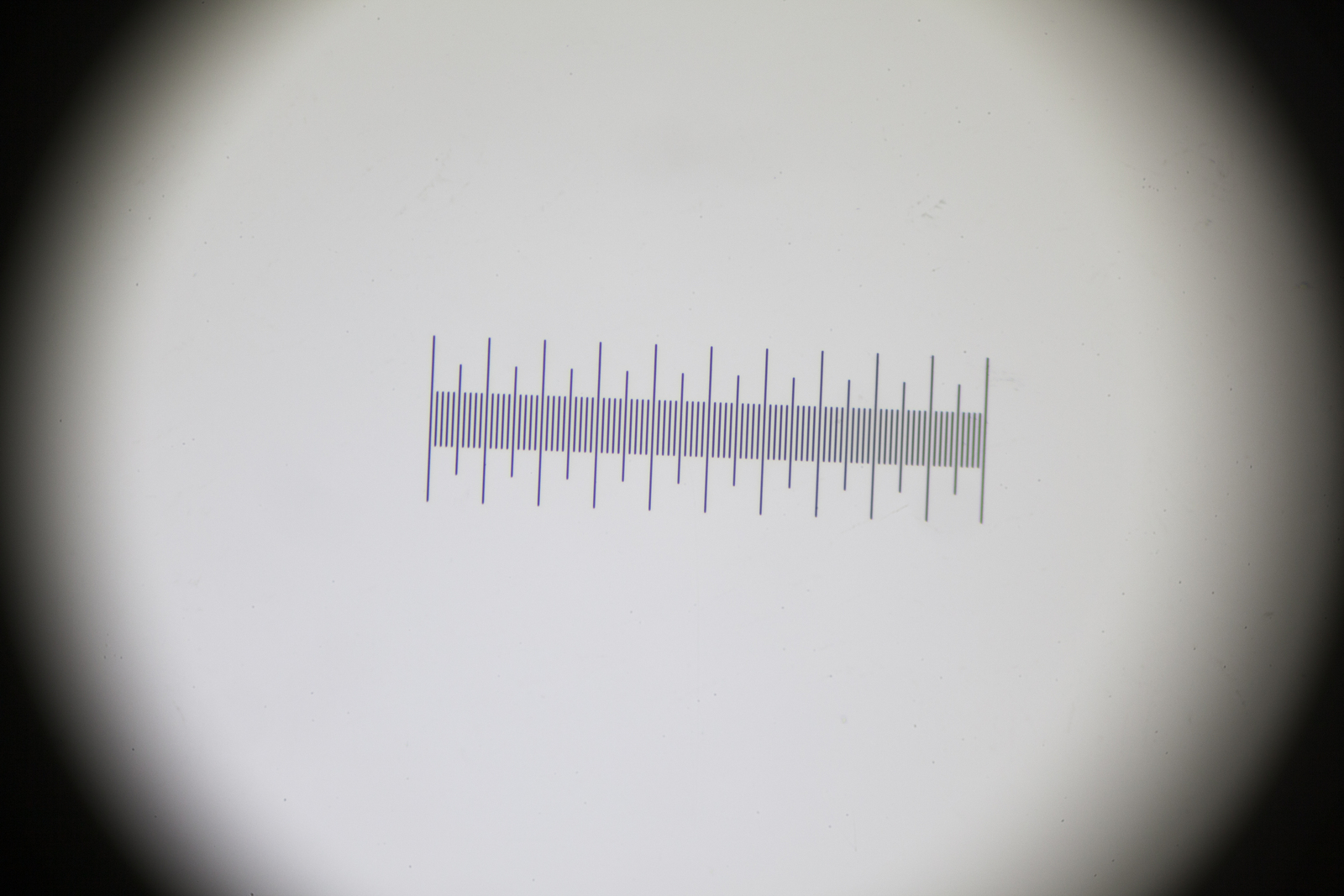 51754027281_28b8ffbf85_o.jpg